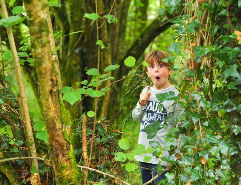 El Bosque